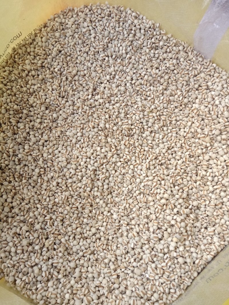 薏米仁1公斤起批不包邮量大电议欢迎咨询各种中药材
