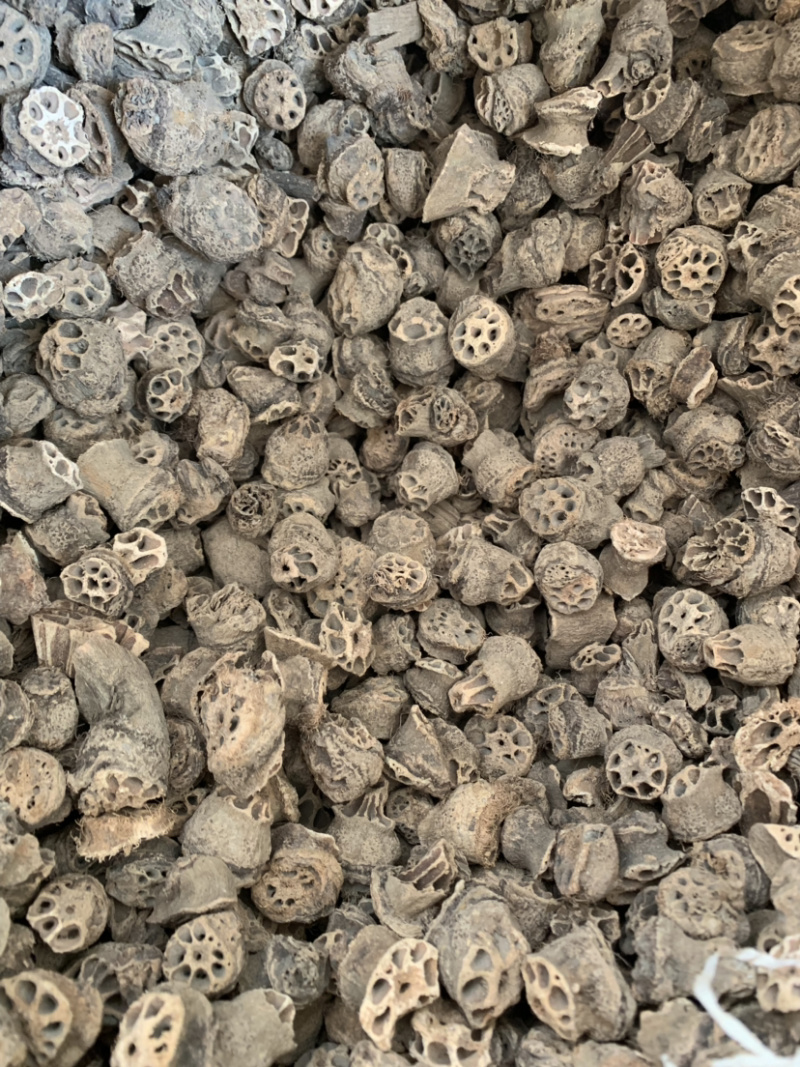 【藕节】藕节量大从优物美价廉产地直供