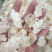 雪燕，批发各种规格中药材