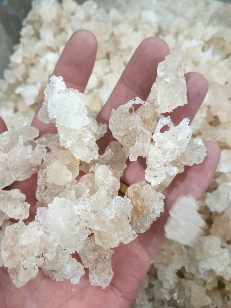 雪燕，批发各种规格中药材