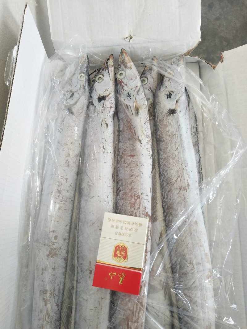舟山精品带鱼