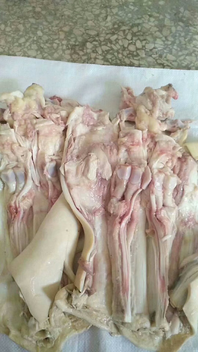 去骨牛蹄，带脚尖牛蹄，全去骨牛蹄