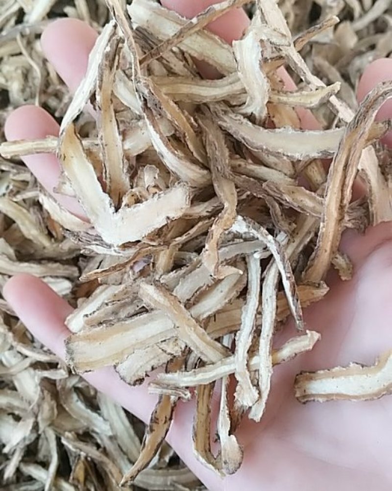 当归丝，中药材当归，当归