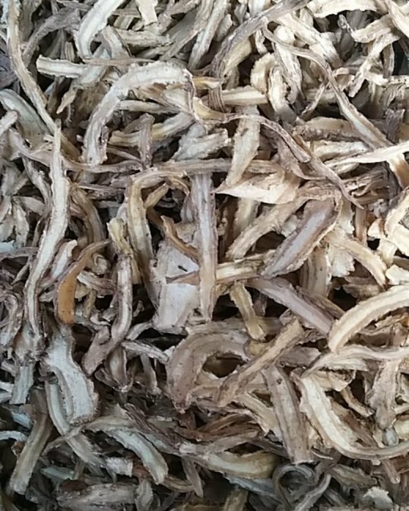 当归丝，中药材当归，当归