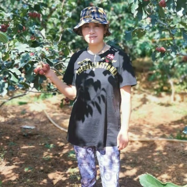 山楂树苗南方北方种植甜红子树苗庭院甜山楂当年结果嫁接果
