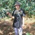 山楂树苗南方北方种植甜红子树苗庭院甜山楂当年结果嫁接果