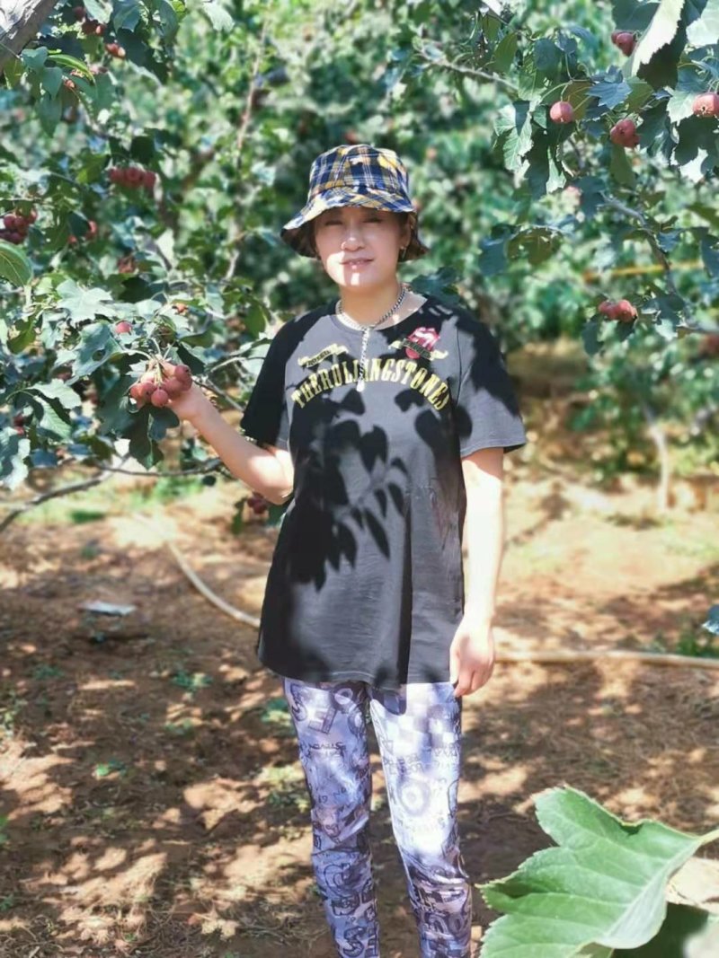 山楂树苗南方北方种植甜红子树苗庭院甜山楂当年结果嫁接果