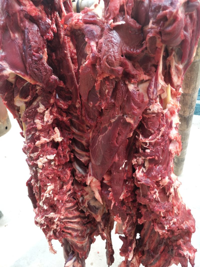 纯干鲜牛肉质量保证量大从优