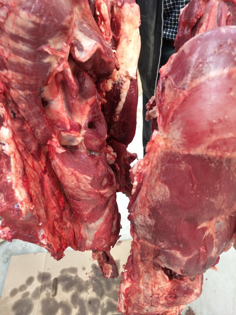 纯干鲜牛肉质量保证量大从优
