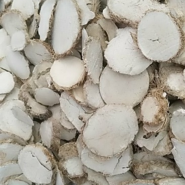 三棱，三棱片，三棱中药材，中药材三棱