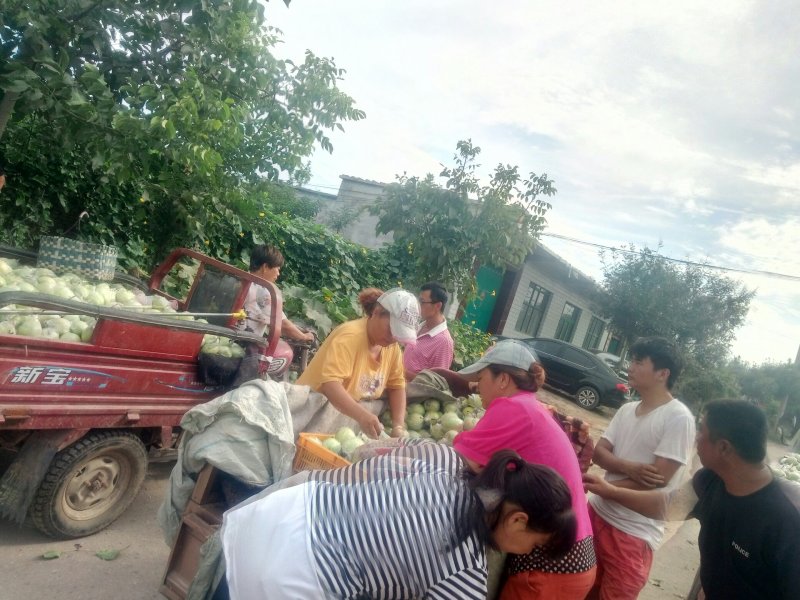果园直发基地，泊头鸭梨皇冠梨第一乡，迈进全国，走向世界，