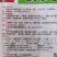 黄心花叶苦苣种子蔬菜沙拉炒食或凉拌口感脆爽四季种植