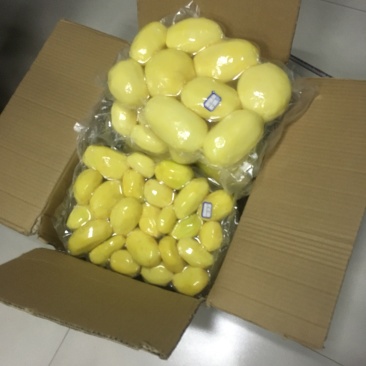 真空包装，削皮土豆，土豆地理标志产区供应！