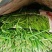 芜湖新鲜韭菜大量上市
