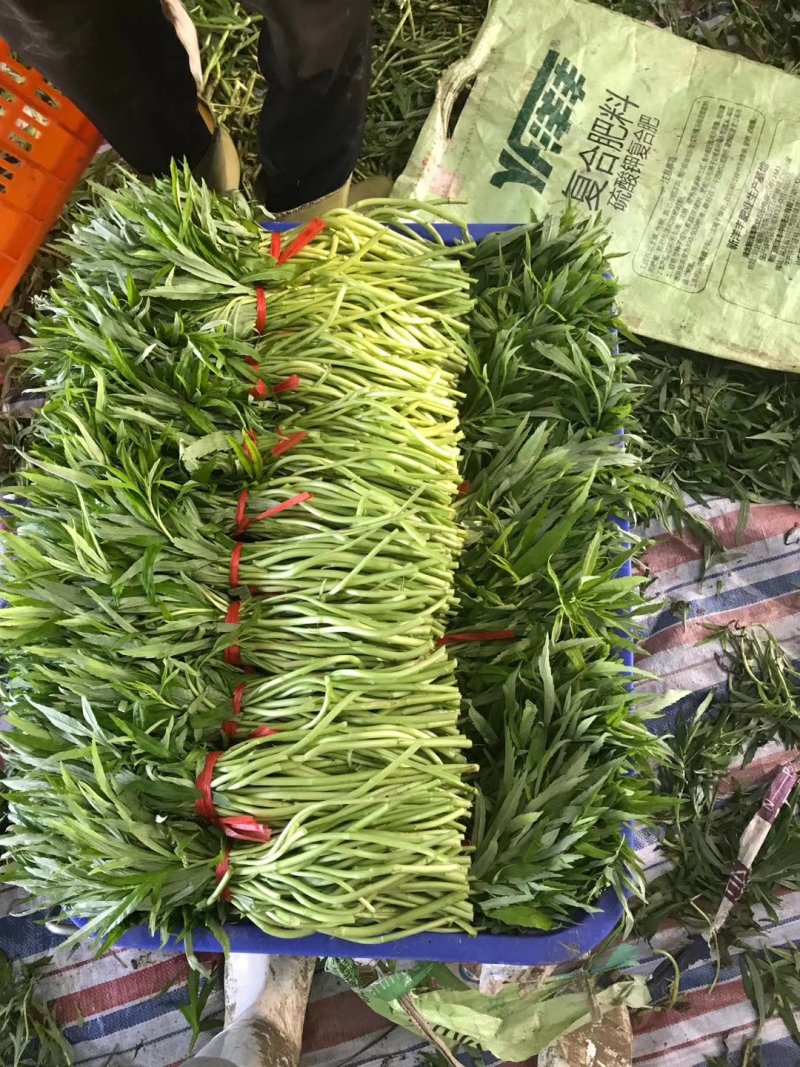 好又多新鲜黎蒿
