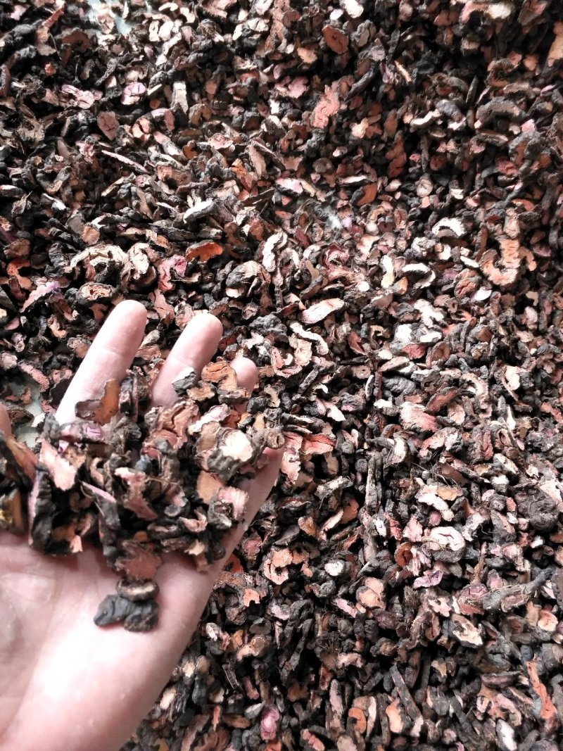 拳参草河车批发各种规格中药材