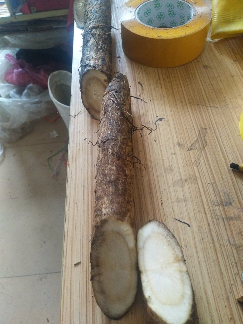 新鲜刚出土的牛蒡量大从优