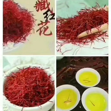 藏红花