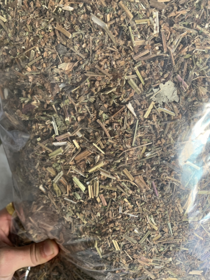 【舜波中药材】蛤蟆草荔枝草质量好量大从优