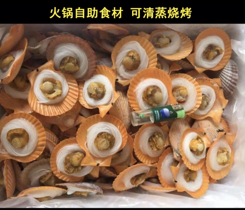 半壳黄金粉丝扇贝蒜蓉粉丝扇贝烧烤清蒸社区团购扇贝肉