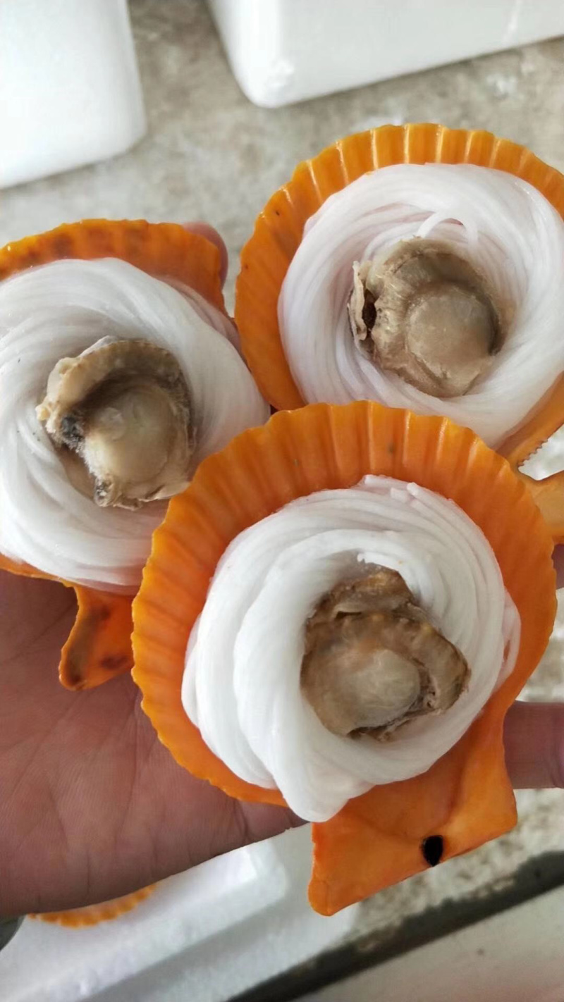 半壳黄金粉丝扇贝蒜蓉粉丝扇贝烧烤清蒸社区团购扇贝肉