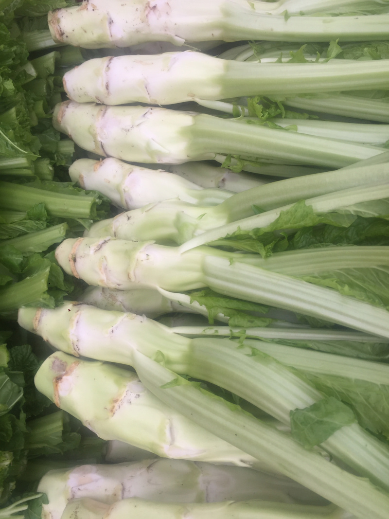 豌豆尖(精品)红皮萝卜棒菜水果萝卜;白菜苔