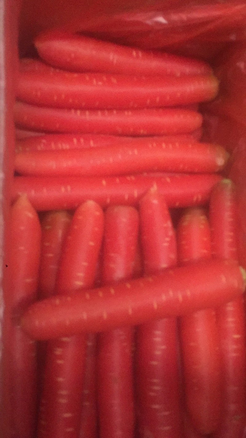 豌豆尖(精品)红皮萝卜棒菜水果萝卜;白菜苔