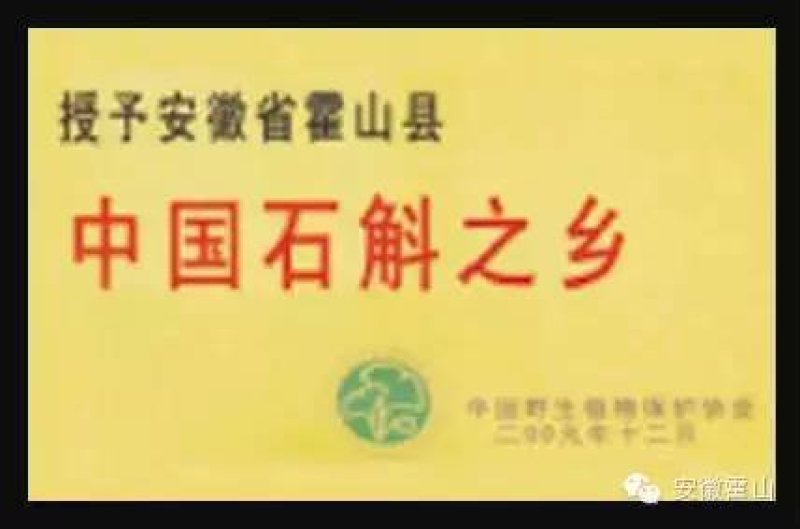 霍山石斛，，基地直发，茗斛坊石斛旗舰店，量大另议