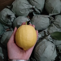 柠檬和土蜂蜜