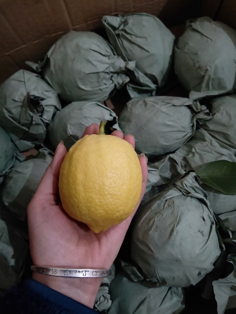 柠檬和土蜂蜜