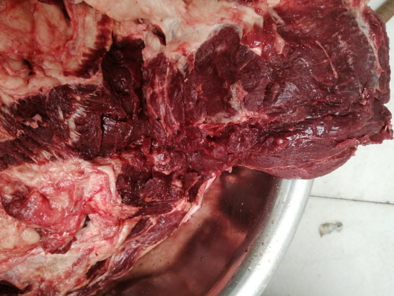 新鲜驴肉驴后腿肉水退毛带皮驴肉