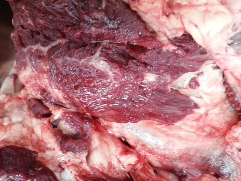 新鲜驴肉驴后腿肉水退毛带皮驴肉