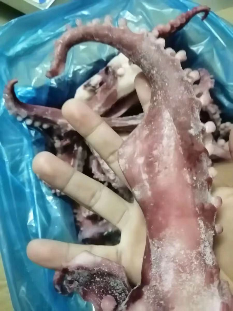 脆口鱿鱼须新鲜冷冻章鱼足无冰衣八爪鱼足