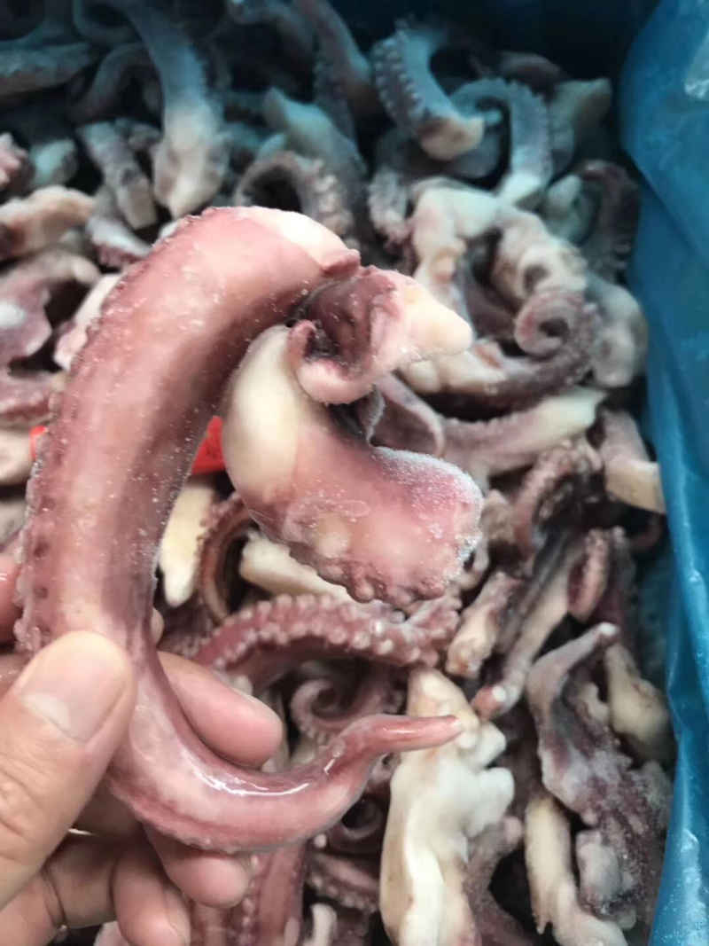 脆口鱿鱼须新鲜冷冻章鱼足无冰衣八爪鱼足