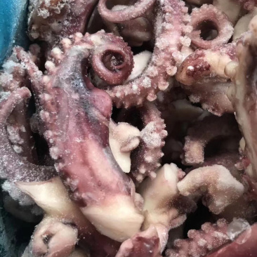 脆口鱿鱼须新鲜冷冻章鱼足无冰衣八爪鱼足