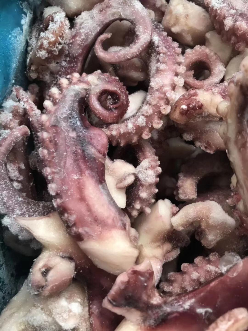 脆口鱿鱼须新鲜冷冻章鱼足无冰衣八爪鱼足