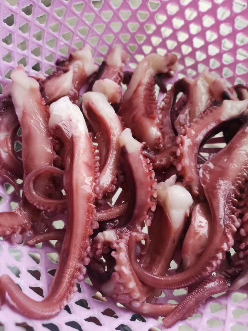 脆口鱿鱼须新鲜冷冻章鱼足无冰衣八爪鱼足