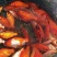 锦鲫