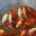 锦鲫