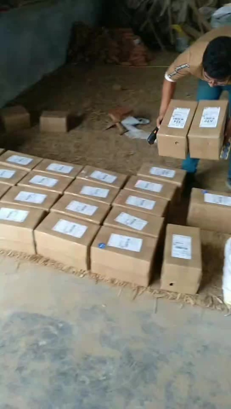 黄河故道沙地蜜薯红皮红心5斤装一件代发