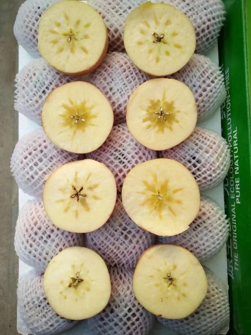 冰糖心红富士