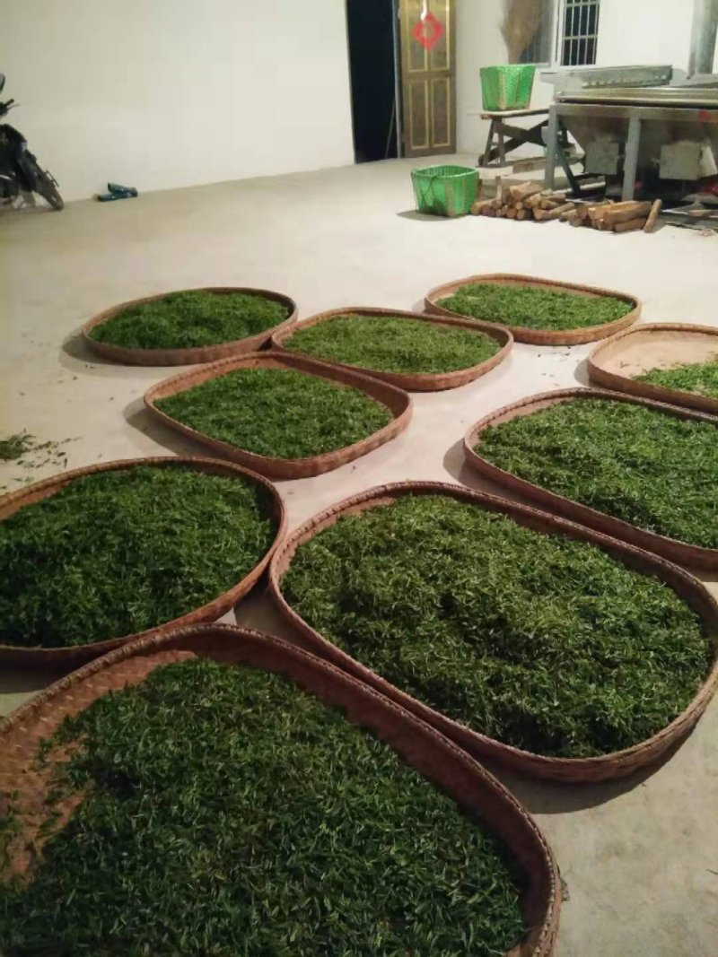 自产自销高山绿茶，霍山黄芽袋装，厂家直发