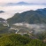 自产自销高山绿茶，霍山黄芽袋装，厂家直发