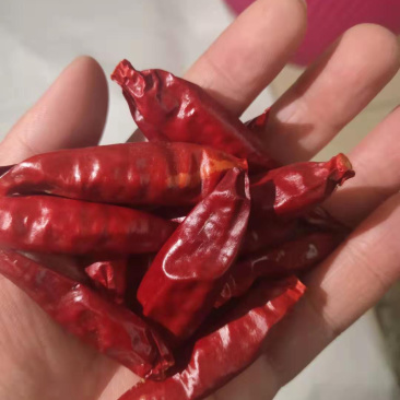 特级精品小辣椒干辣椒三樱椒自产自销