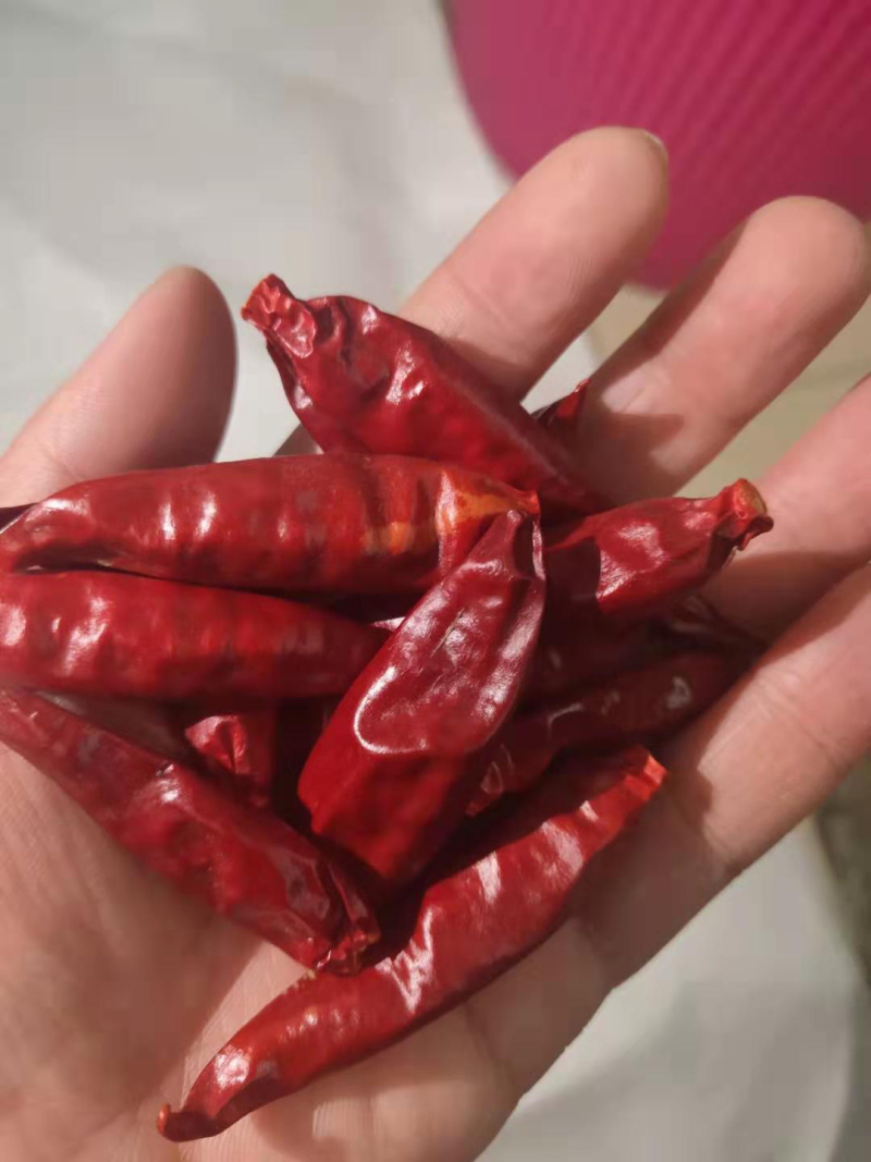 特级精品小辣椒干辣椒三樱椒自产自销