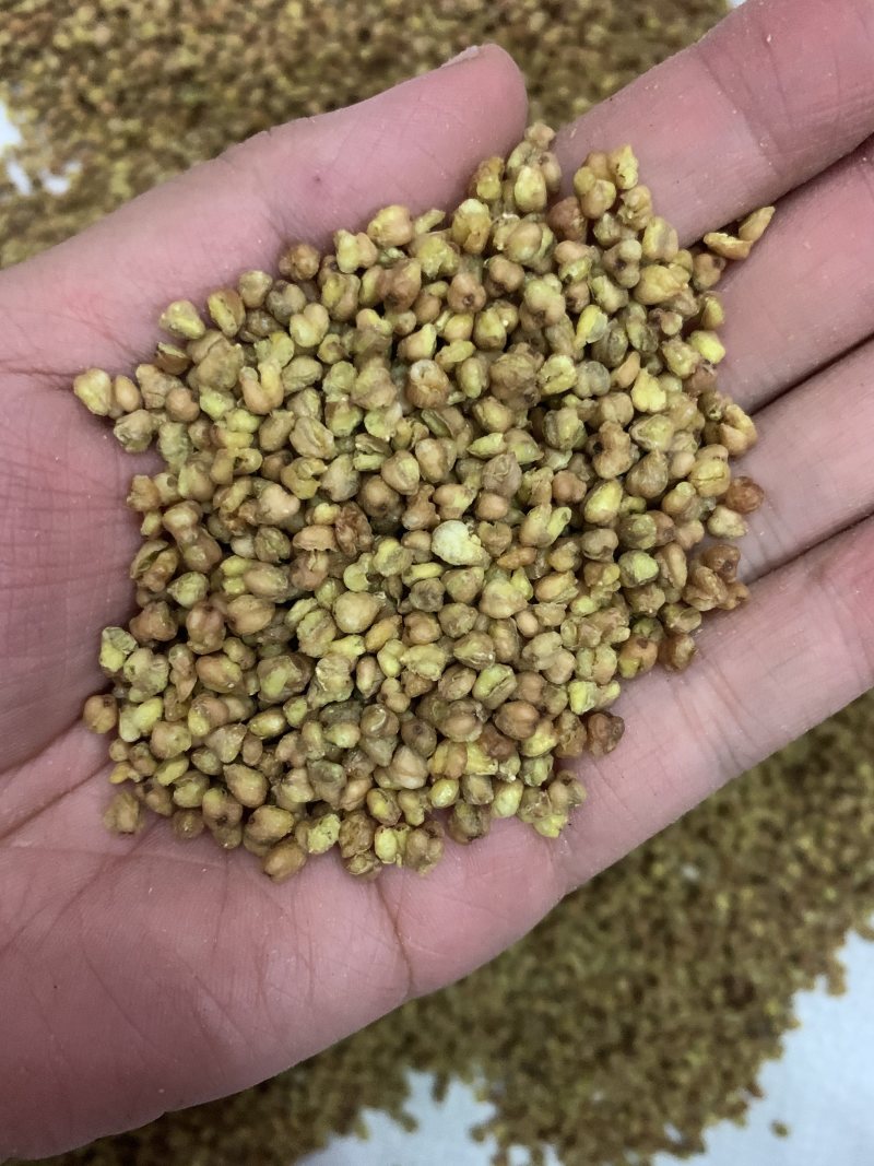 黄苦荞黑苦荞精选苦荞麦量大从优