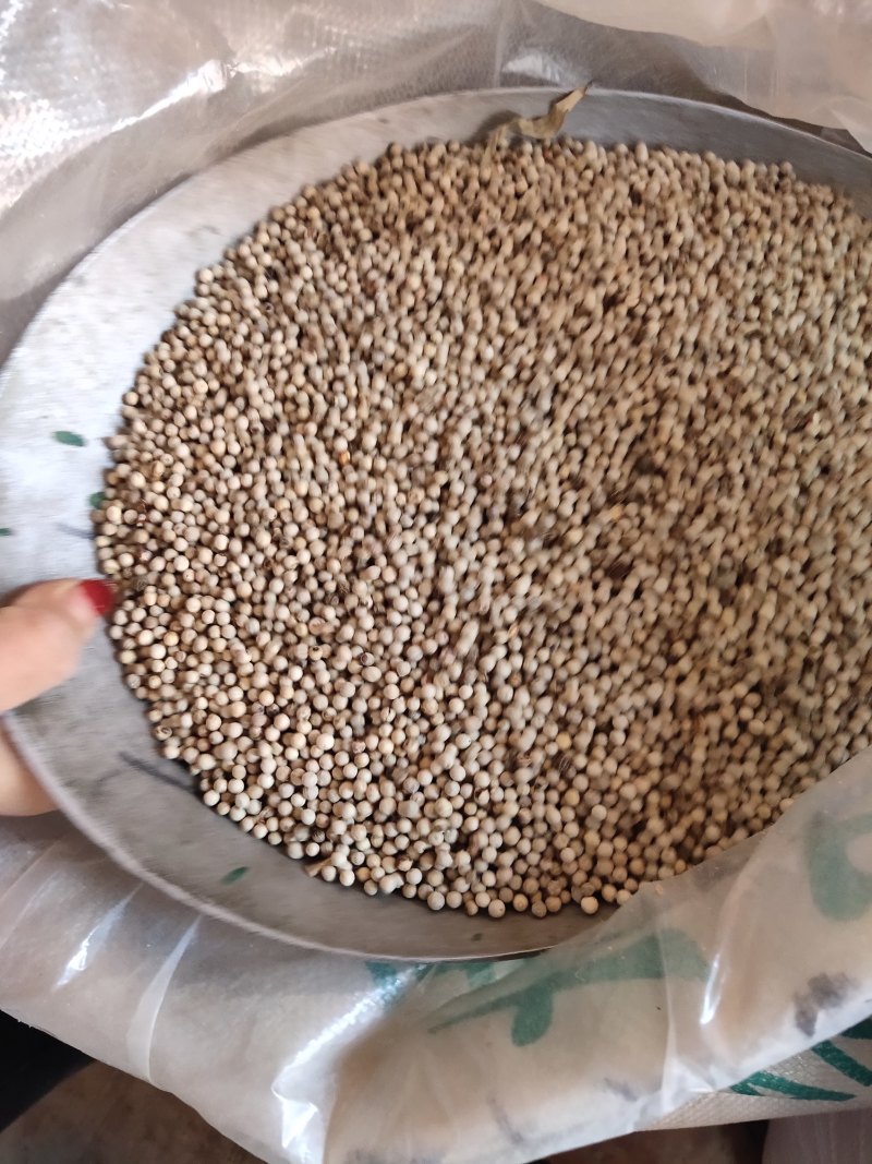 白胡椒海南特产批发正品精选白胡椒