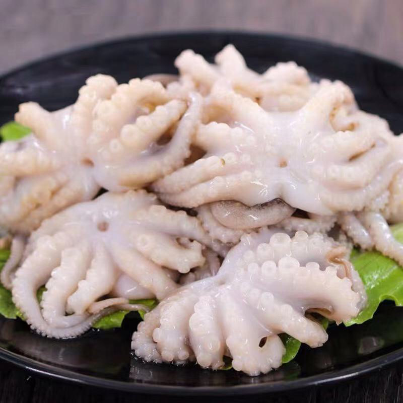 八爪鱼新鲜冷冻小章鱼网红爆头小鱿鱼自热火锅麻辣海鲜
