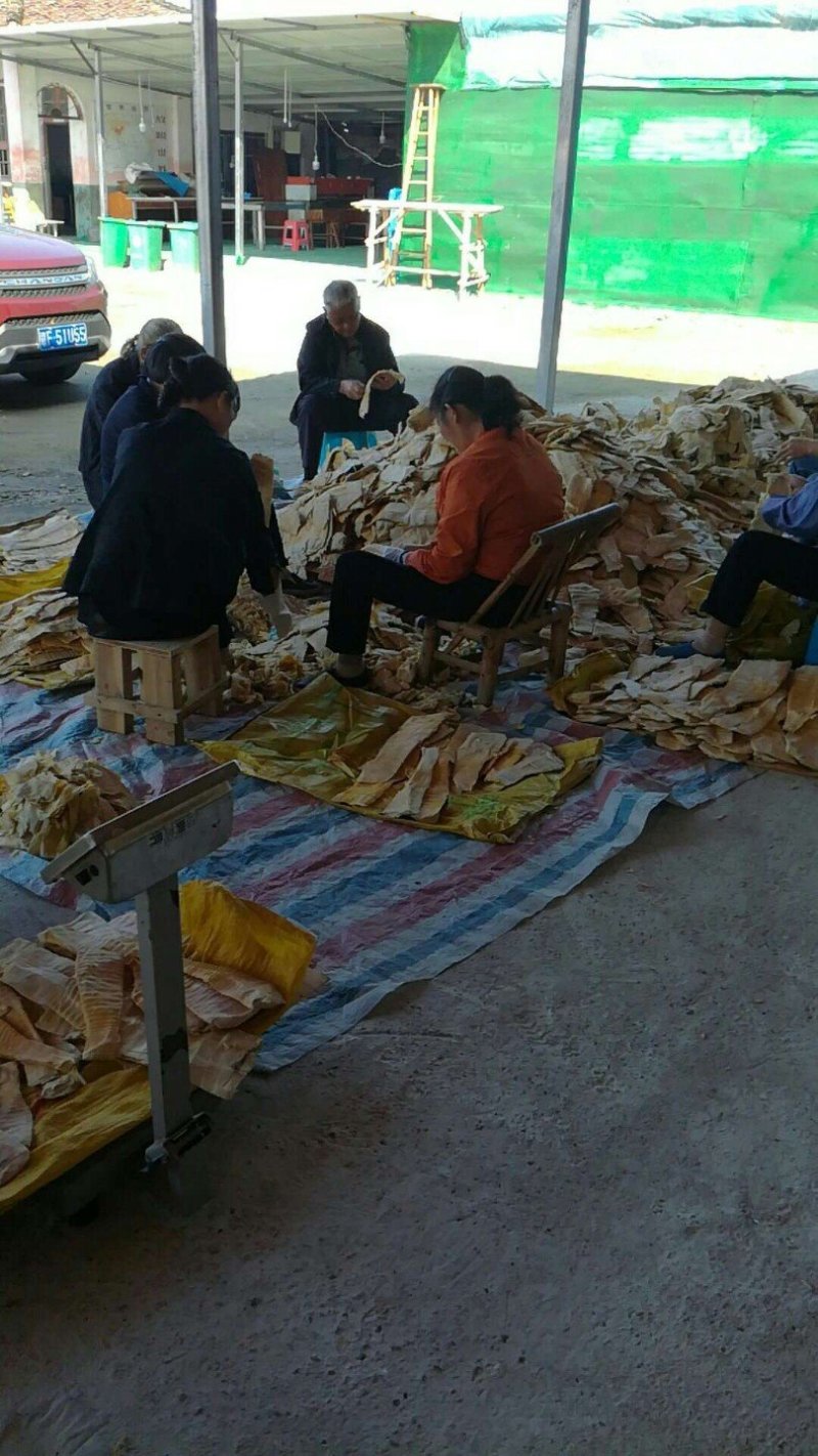 脆嫩笋衣，笋干类，手工精选脆嫩笋衣，全嫩，人工修剪，