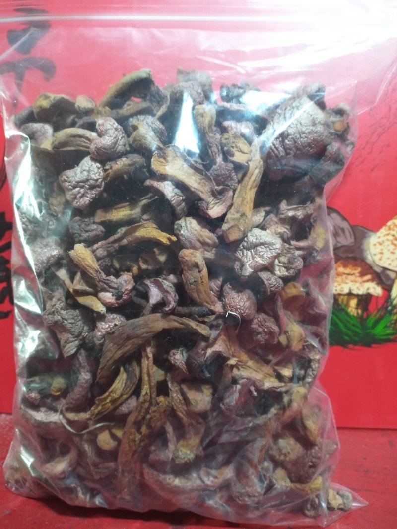 食用菌
